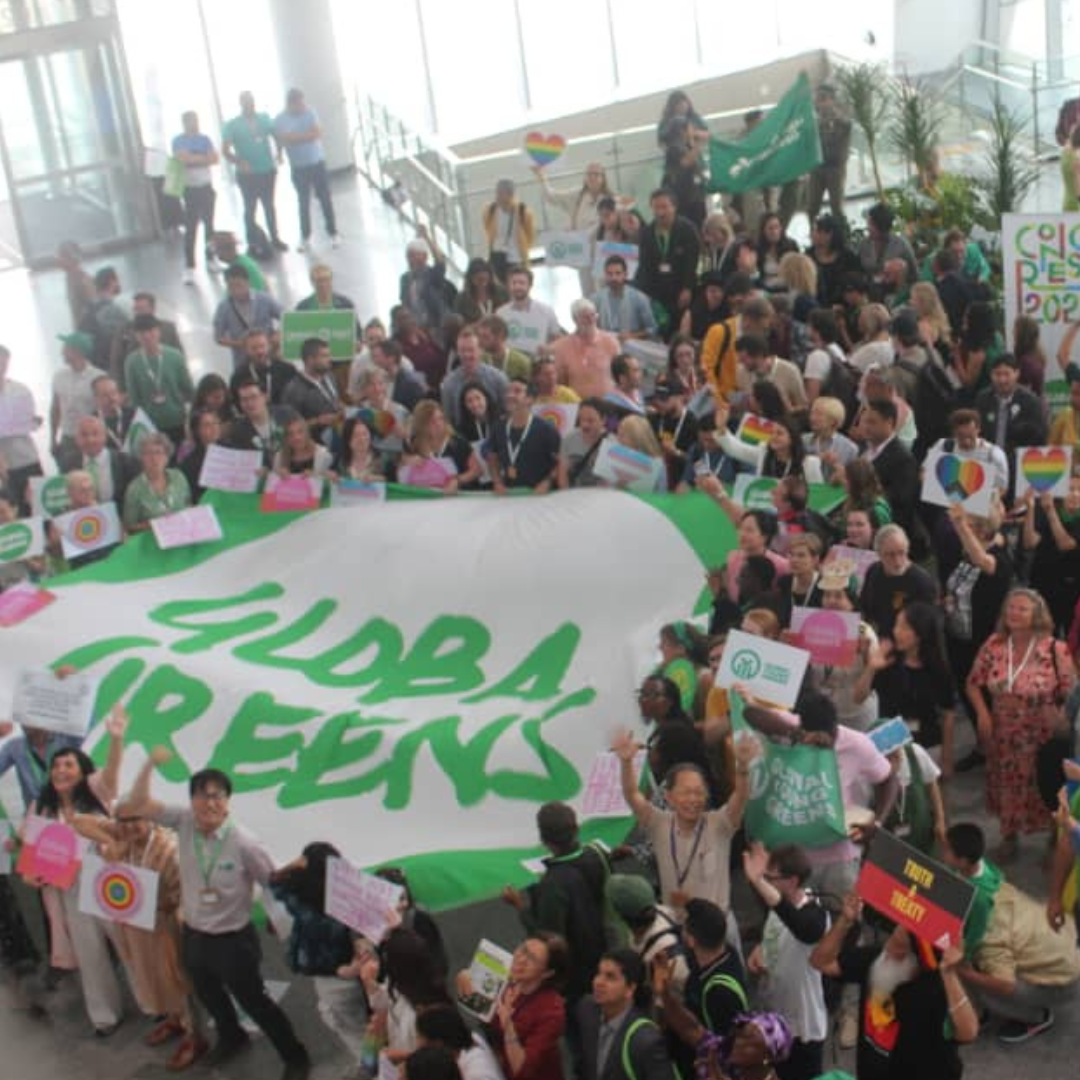 Global Greens Banner at Korean Conference in 2023